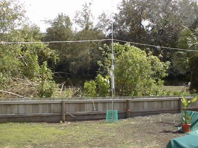 butternut base